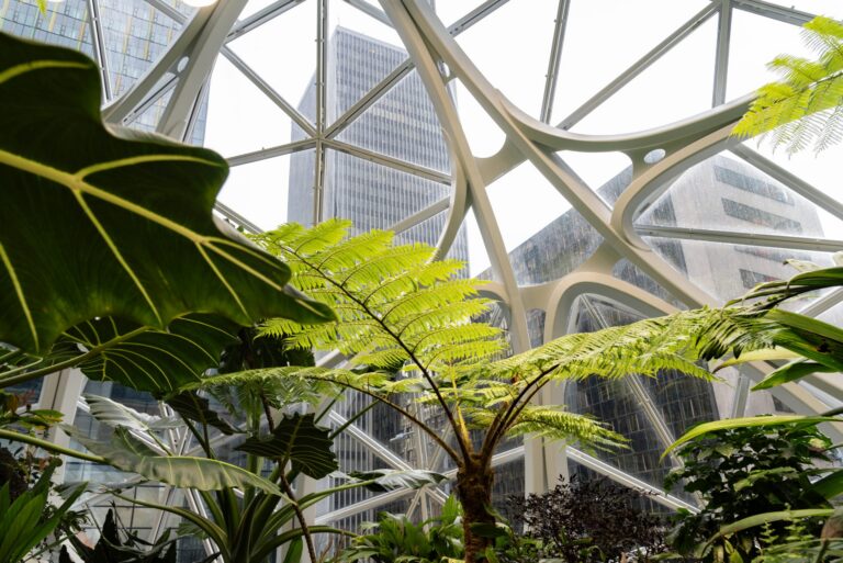 5 Ways to Achieve Sustainable Interior Design Using Healthy Materials
