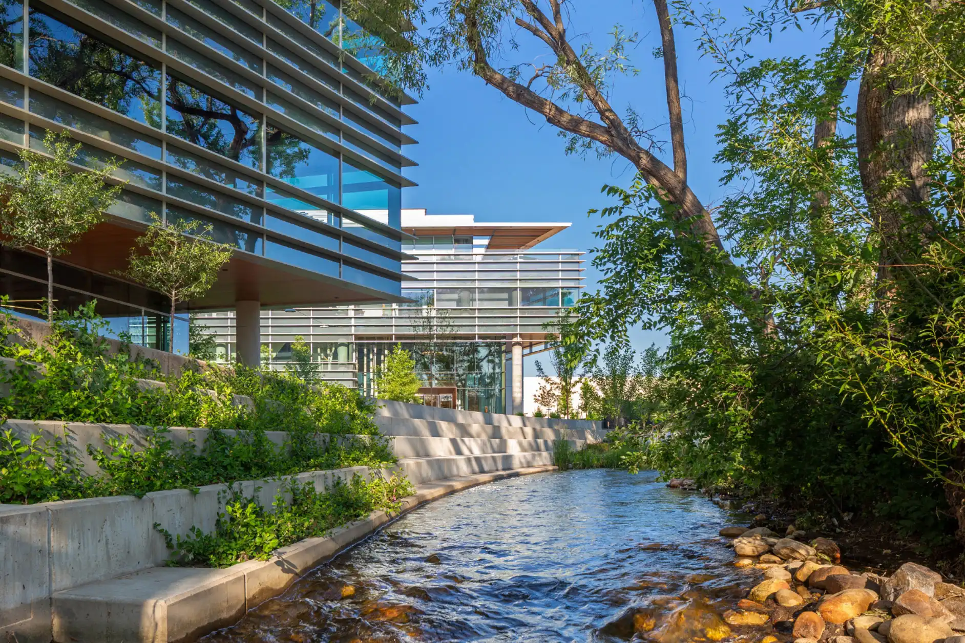 Google Headquarters, 4" V-Groove for Soffit in Light Cherry