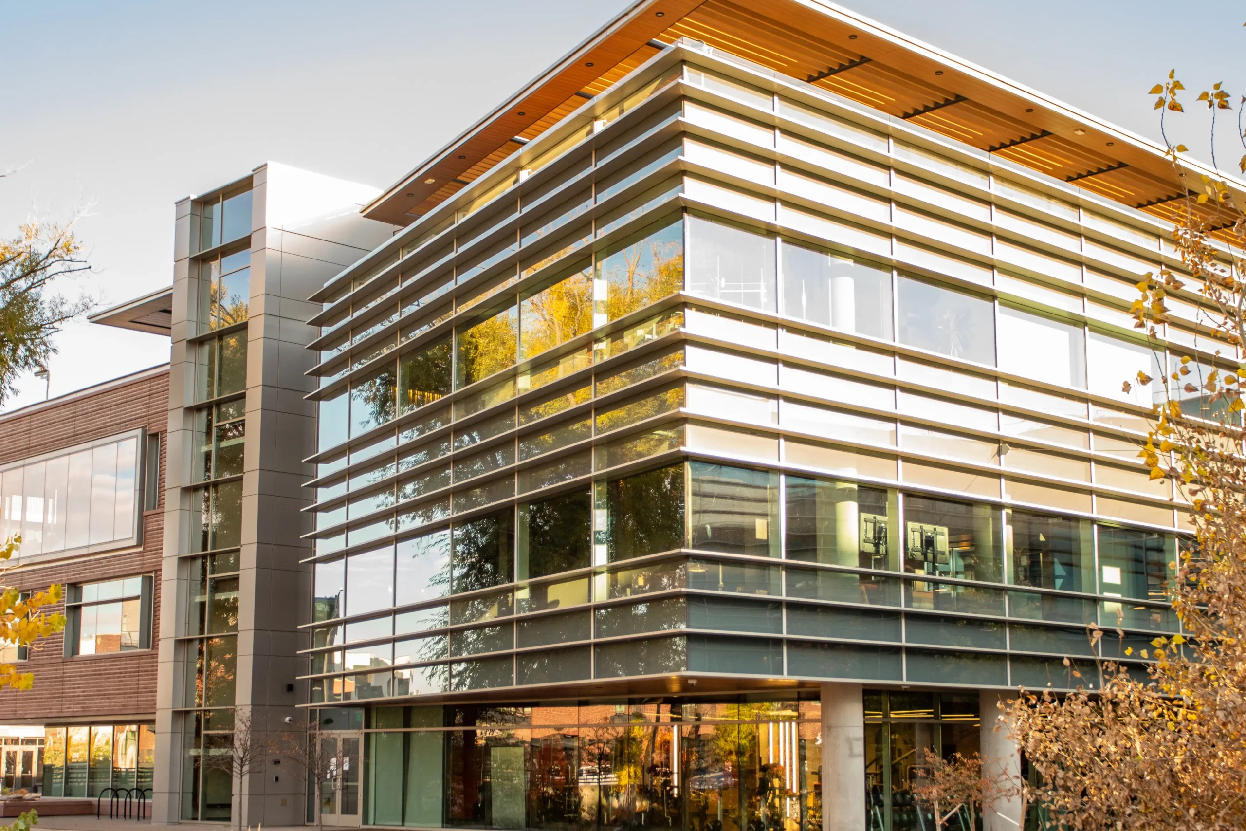 Google Headquarters, 4" V-Groove for Soffit in Light Cherry