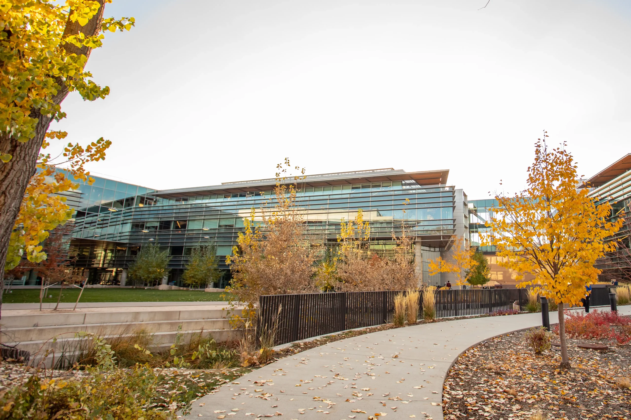 Google Headquarters, 4" V-Groove for Soffit in Light Cherry