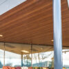 AMADON PLAZA (Save on Foods, Vancity Bank)