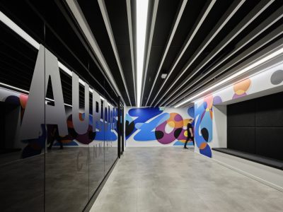 aurora 6 (1)
